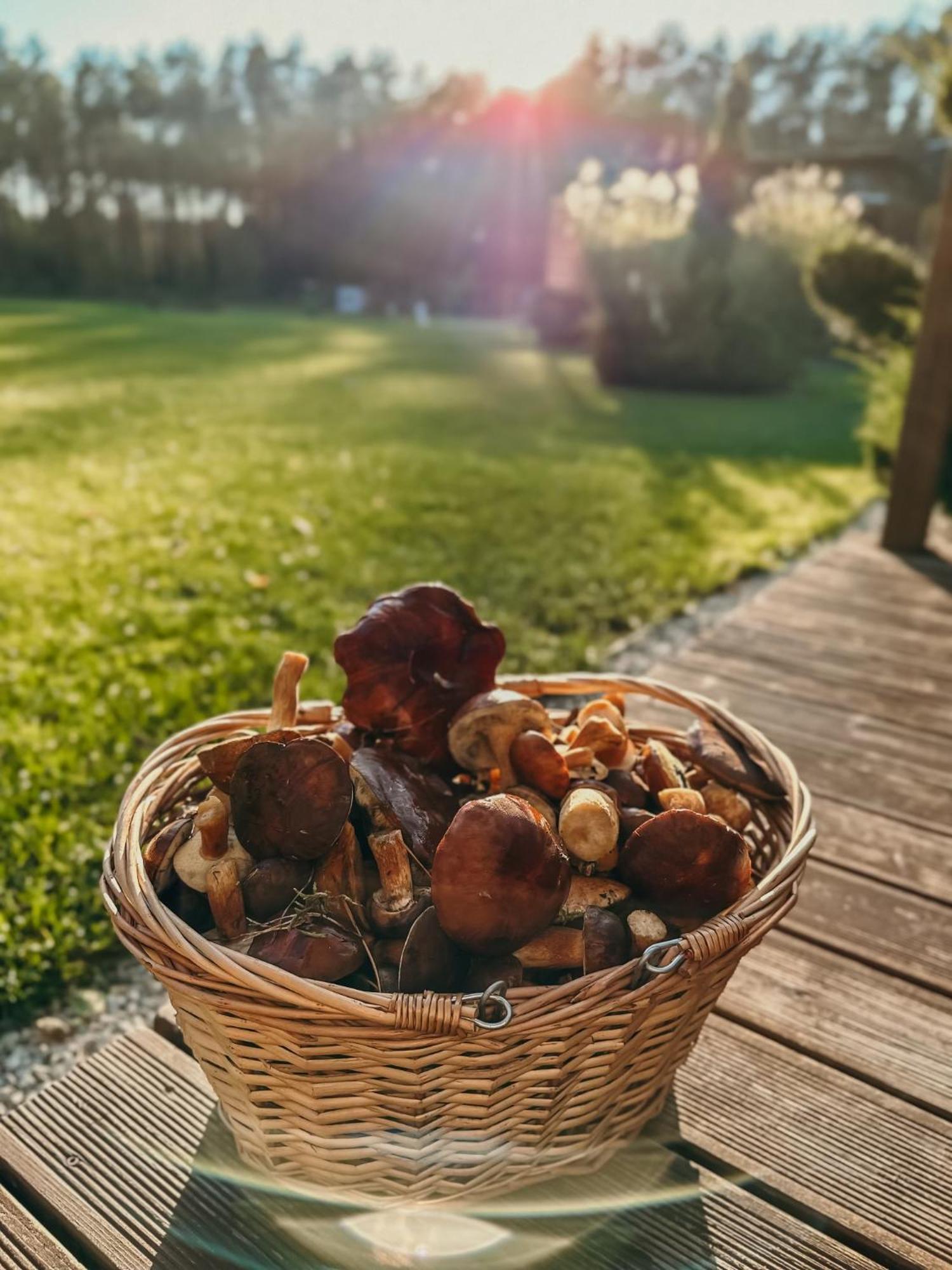 Agroturystyka Wena - Luksus W Naturze Zachodzko Exteriör bild